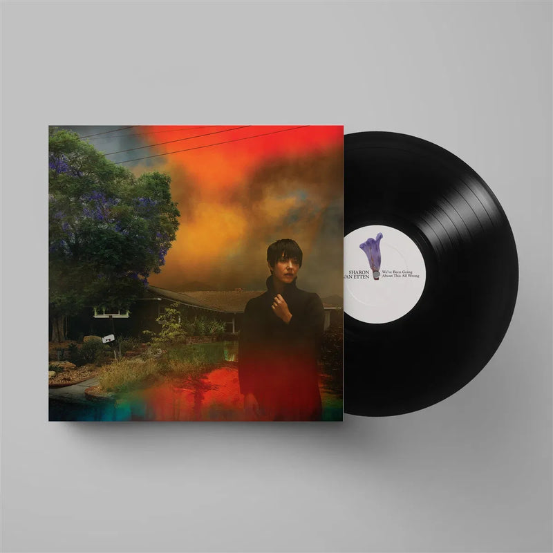 We've Been Going About This All Wrong 12" Black Vinyl LP