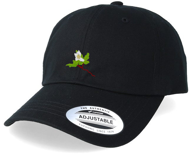 Efterklang Windflowers Cap - Black