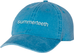 Summerteeth Dad Hat