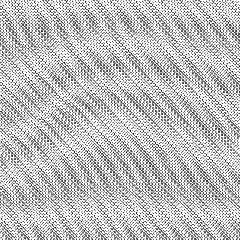 Ólafur Arnalds & Nils Frahm Loon 12" 12"- Bingo Merch Official Merchandise Shop Official